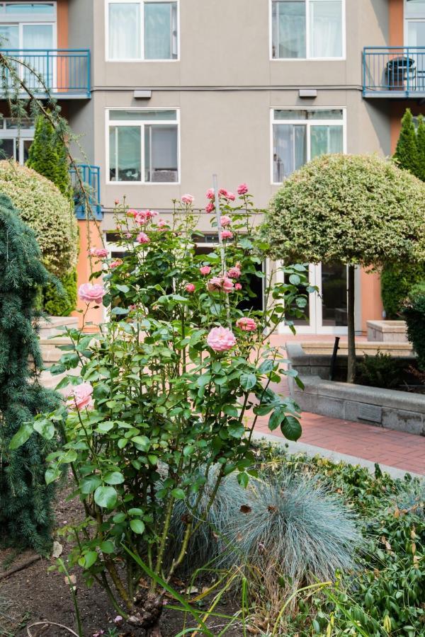 City Water View Oasis With Pool & Gym Near Cruise In Heart Of Seattle Dış mekan fotoğraf